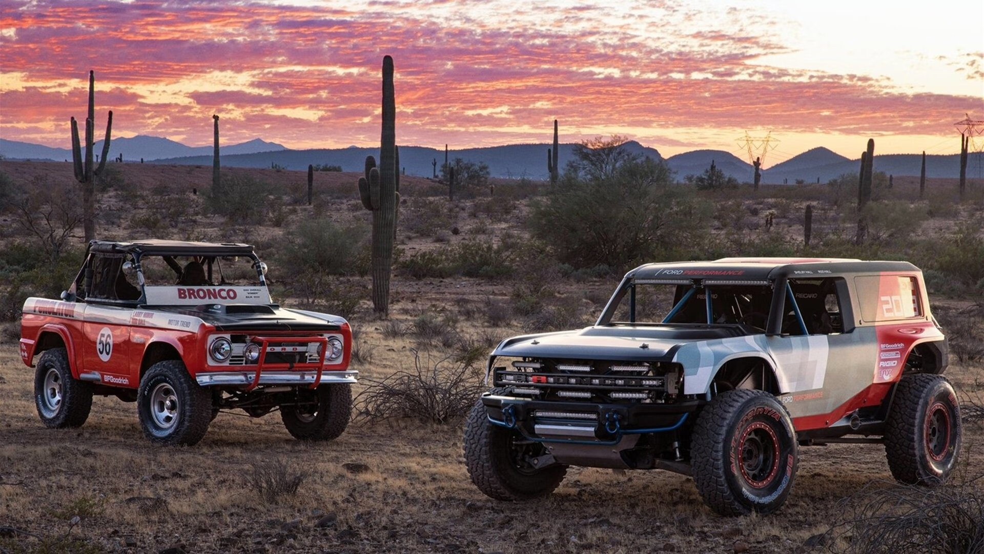 _南极冰原跑：在极地白雪中追逐梦想_，南极冰原阅读答案