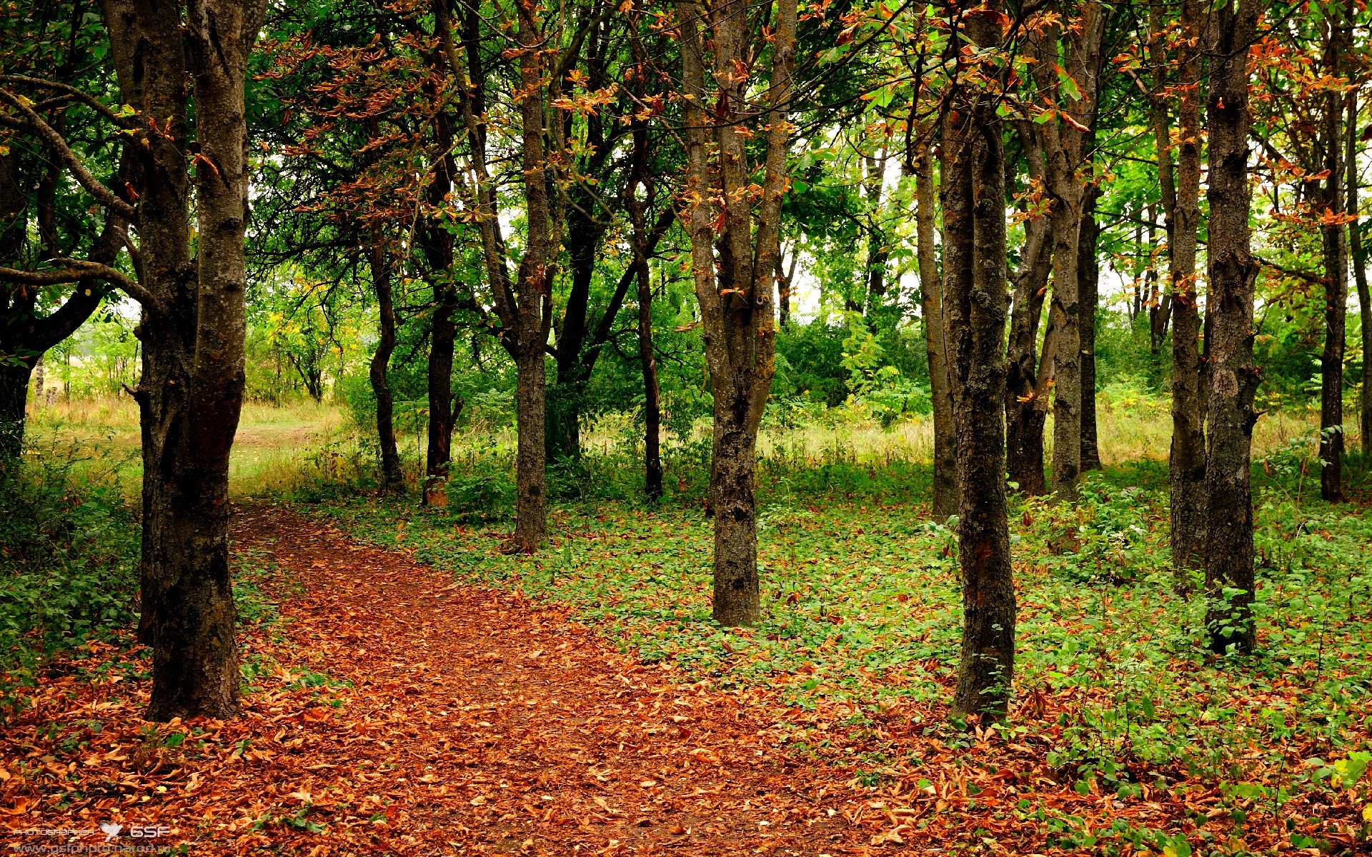 _传统体育新风尚:尘封古技焕发新光彩_,传统体育文化传承