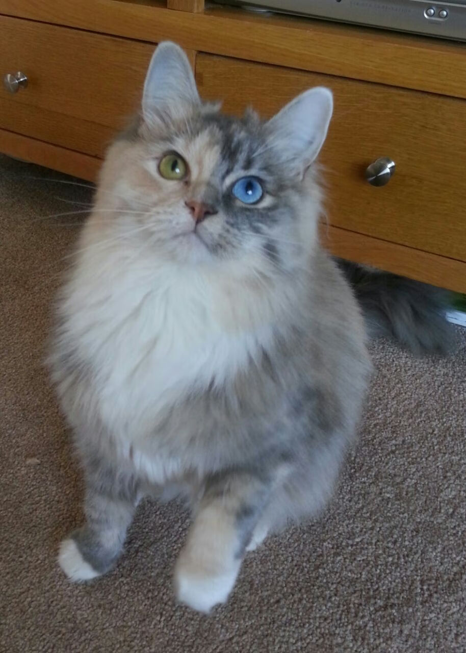 九游游戏中心官网-_费德勒宣布退役，网坛传奇告别赛场_，费德勒退出2020赛季 新闻