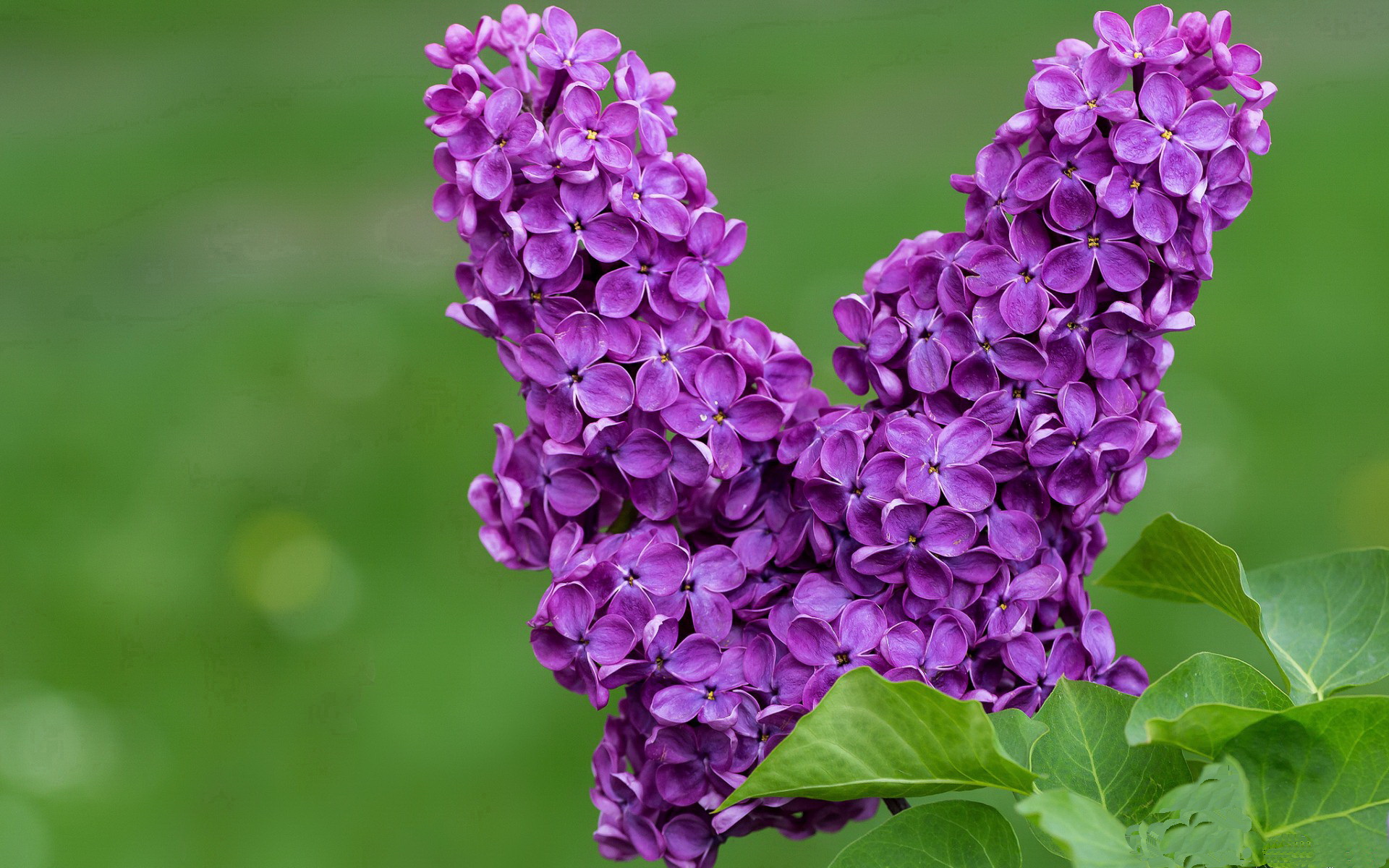 中国篮球联赛官宣年度最佳阵容，中国篮球队最佳战绩