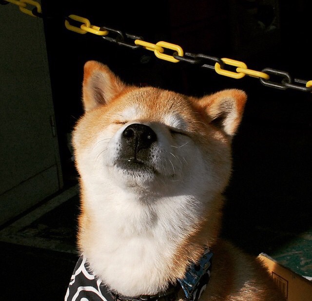 科比训练日常：硬汉精神塑造出“完美”球员的秘密，科比的训练时间及内容