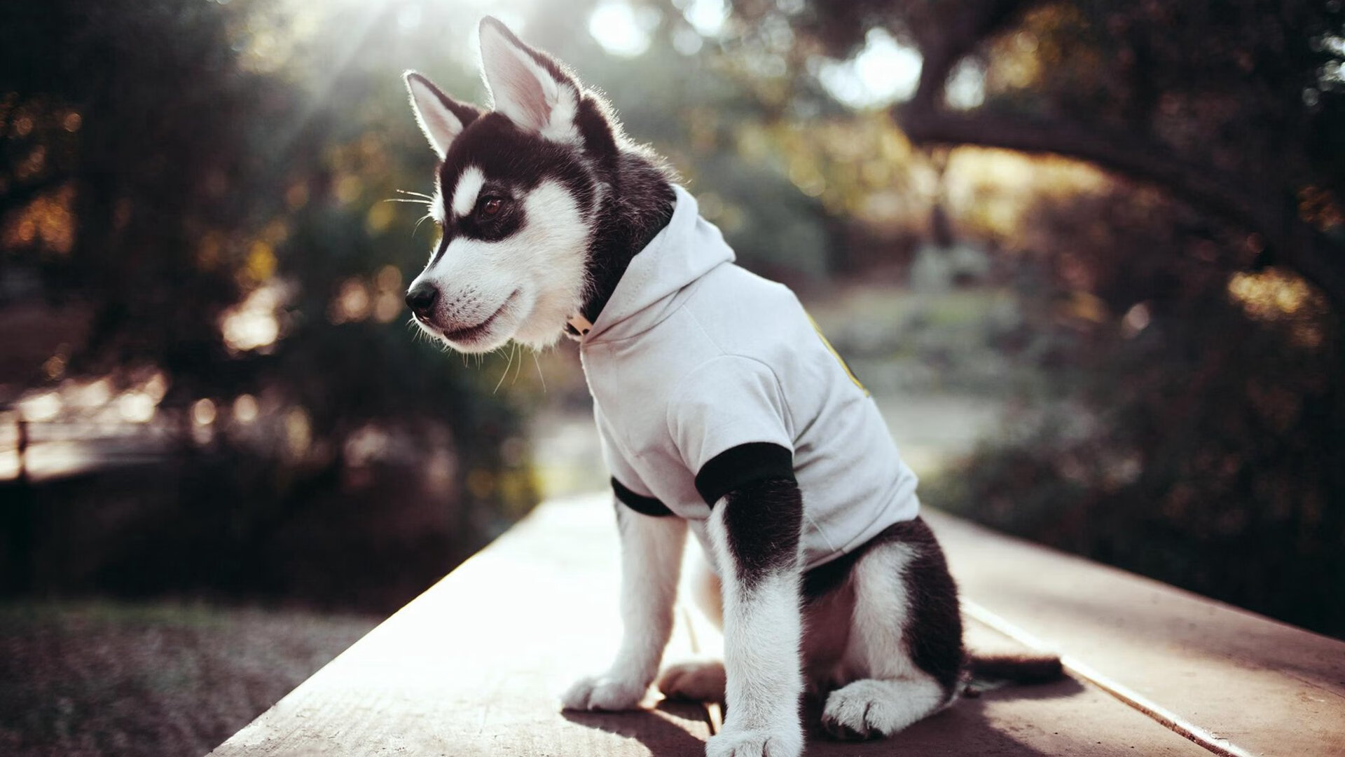 九游娱乐官网 (JIUYOU)-线上赛事直播引领全新观看体验，线上赛软件