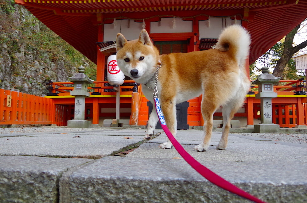 英超联赛的商业价值不断攀升，吸引更多投资，英超联赛介绍
