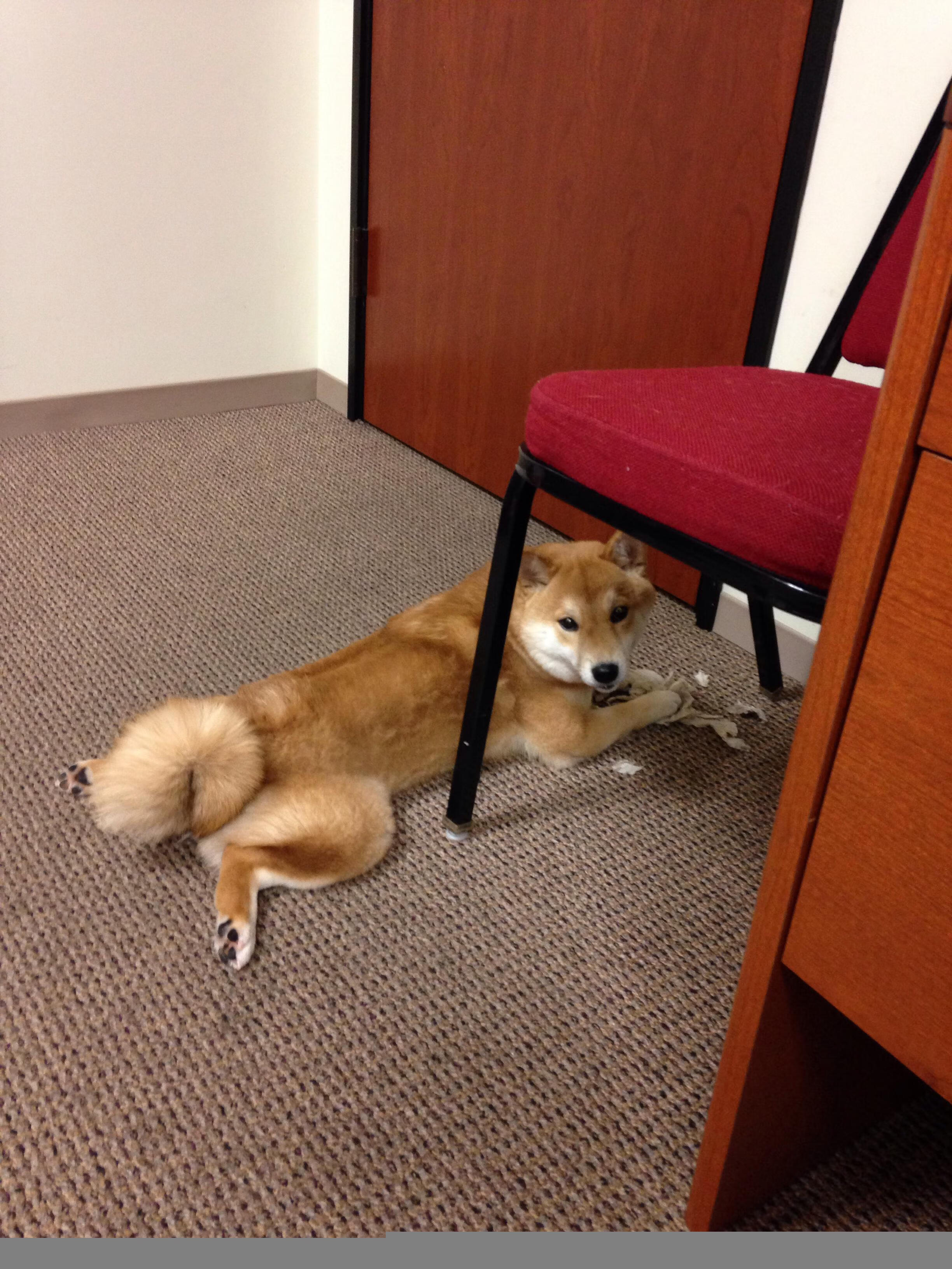 九游娱乐官网 (jiuyou)-东南亚盃：各队志在夺魁为国争光，东南亚锦标赛足球