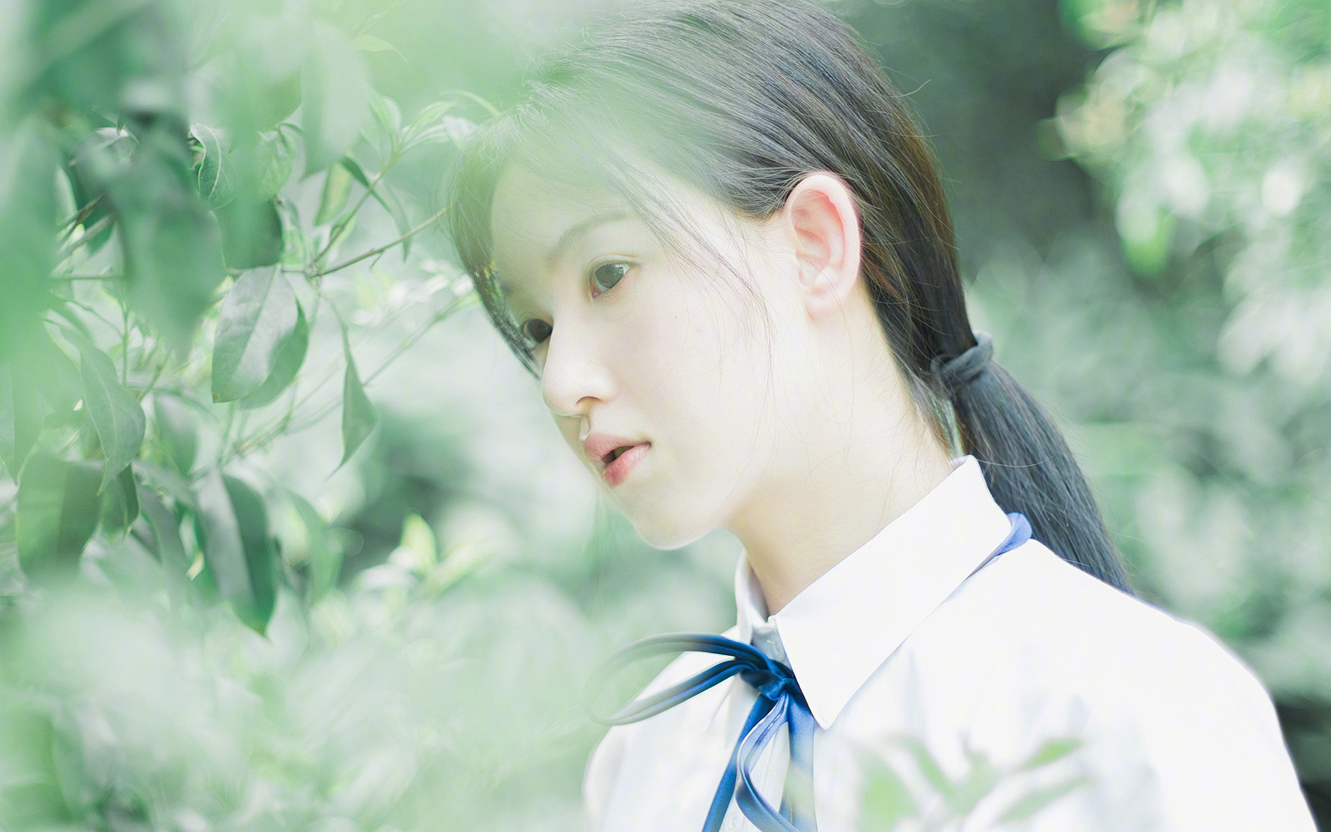 东南亚盃：各队志在夺魁为国争光，东南亚锦标赛足球