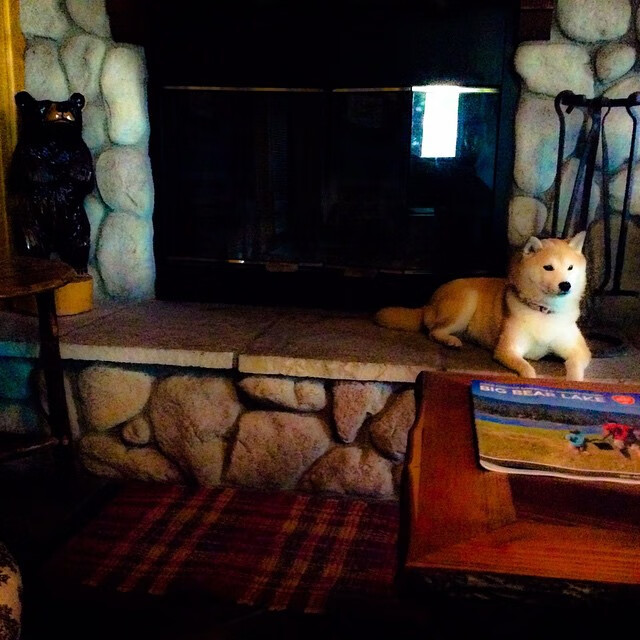 -塞尔塔客场告负，球队状态出现波动，塞尔塔客场告负,球队状态出现波动什么意思