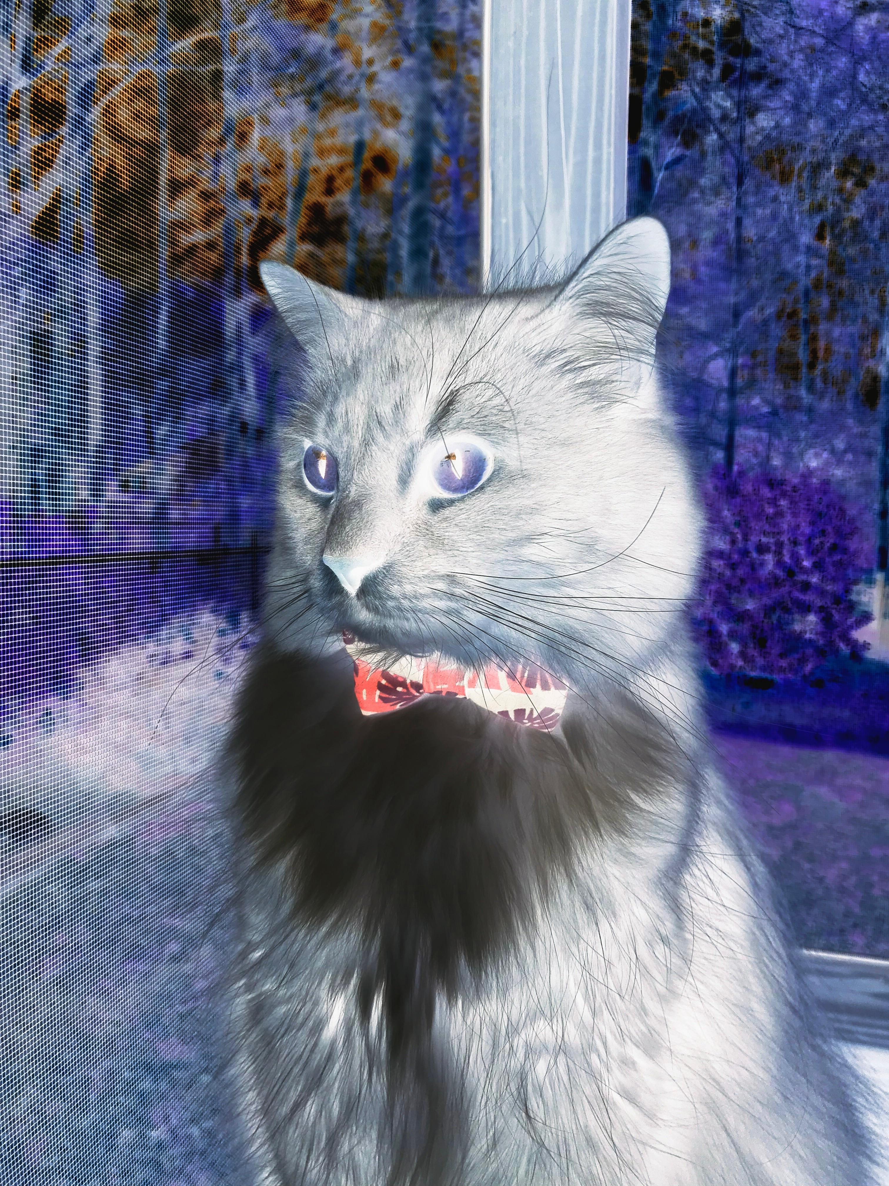 揭秘篮球防守篮板训练秘籍，防守篮板球技术包括哪几个部分