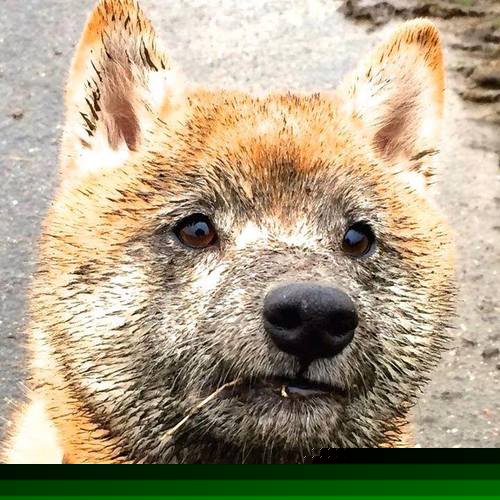 -斯洛特强调团队合作，提升球队凝聚力，斯洛特强调团队合作,提升球队凝聚力