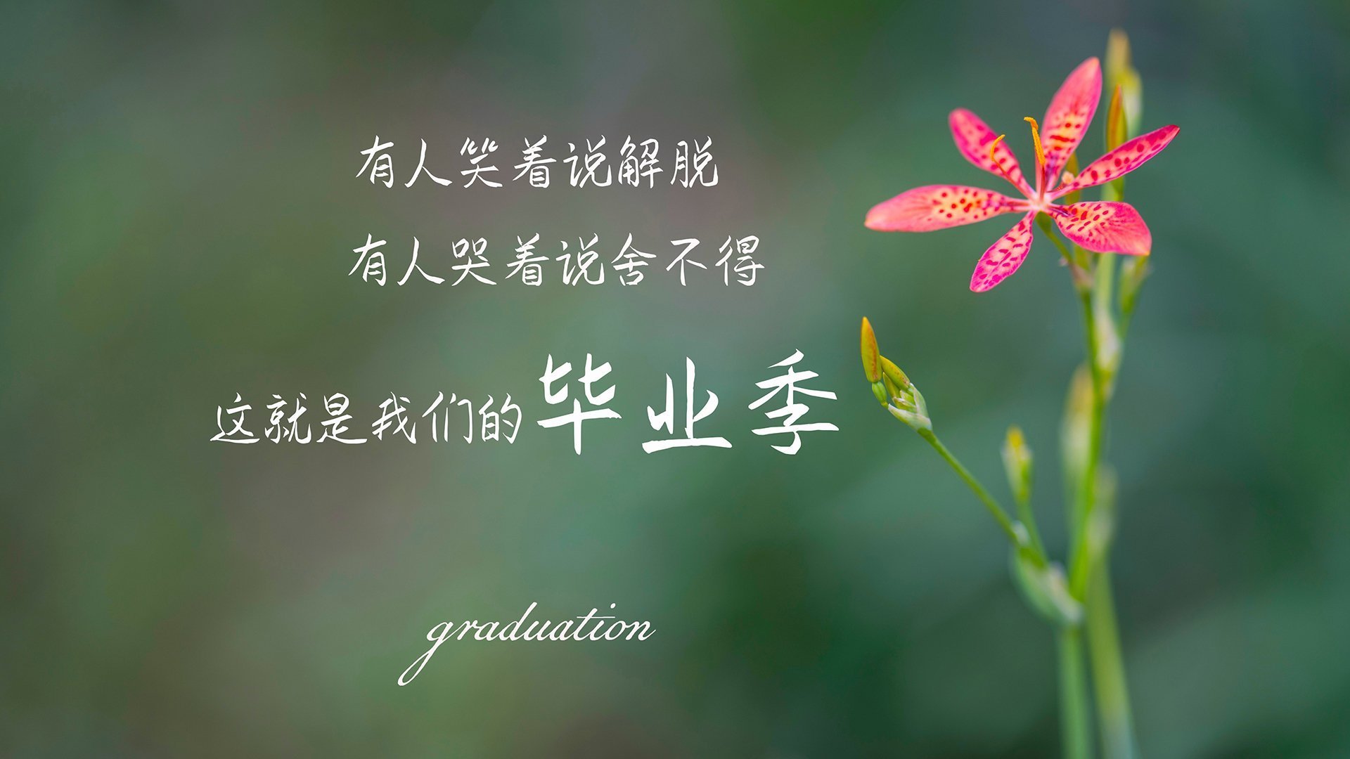 九游jiuyou-普拉提与功能性训练结合，提升身体素质，普拉提提高性功能吗