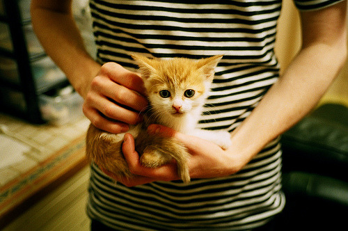 电竞直播技术升级带来的内容质量与用户体验提升研究，电竞直播发展现状