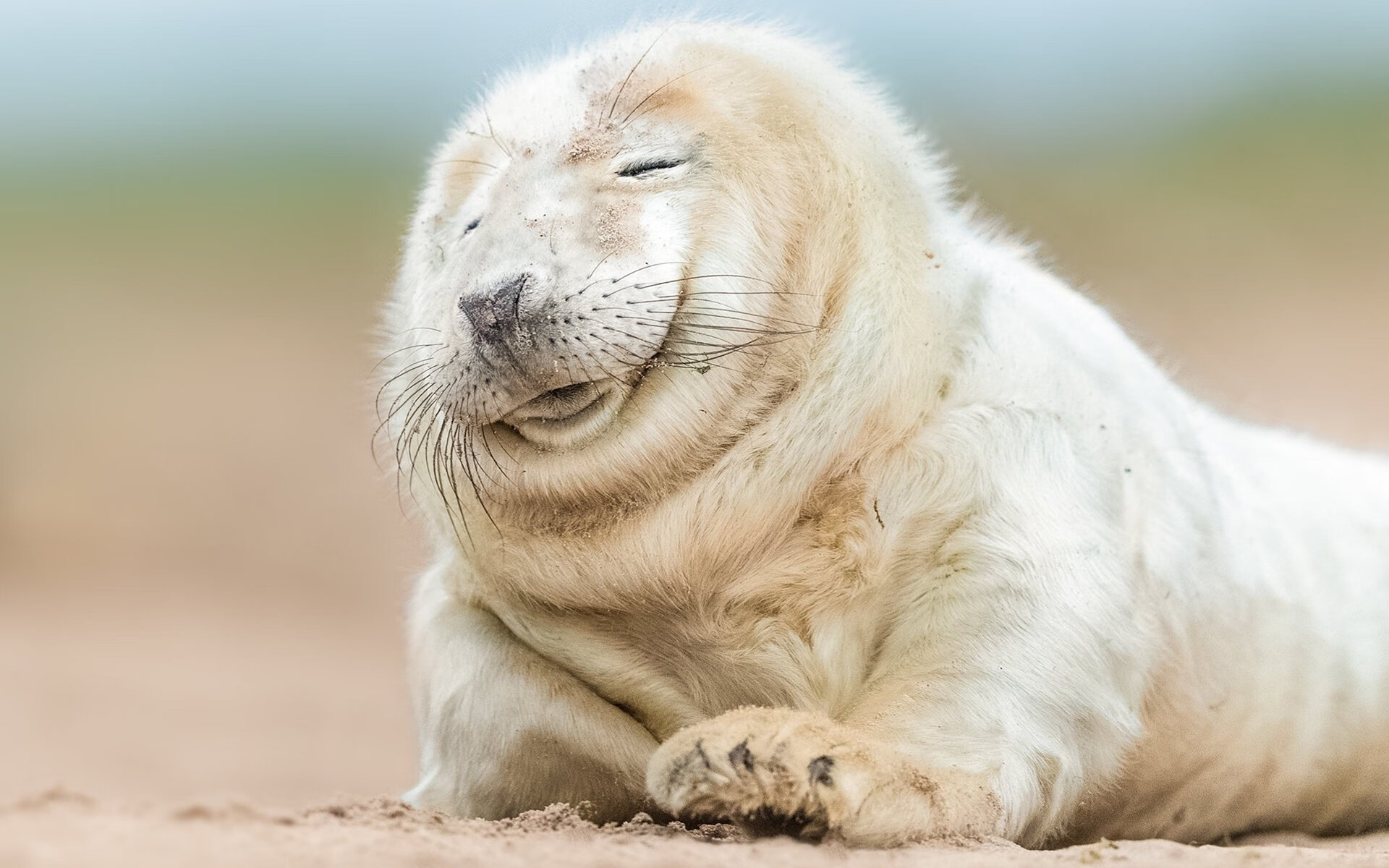 九游下载安装-突发滑雪赛事中滑道结冰引发连环摔，滑雪场结冰正常吗