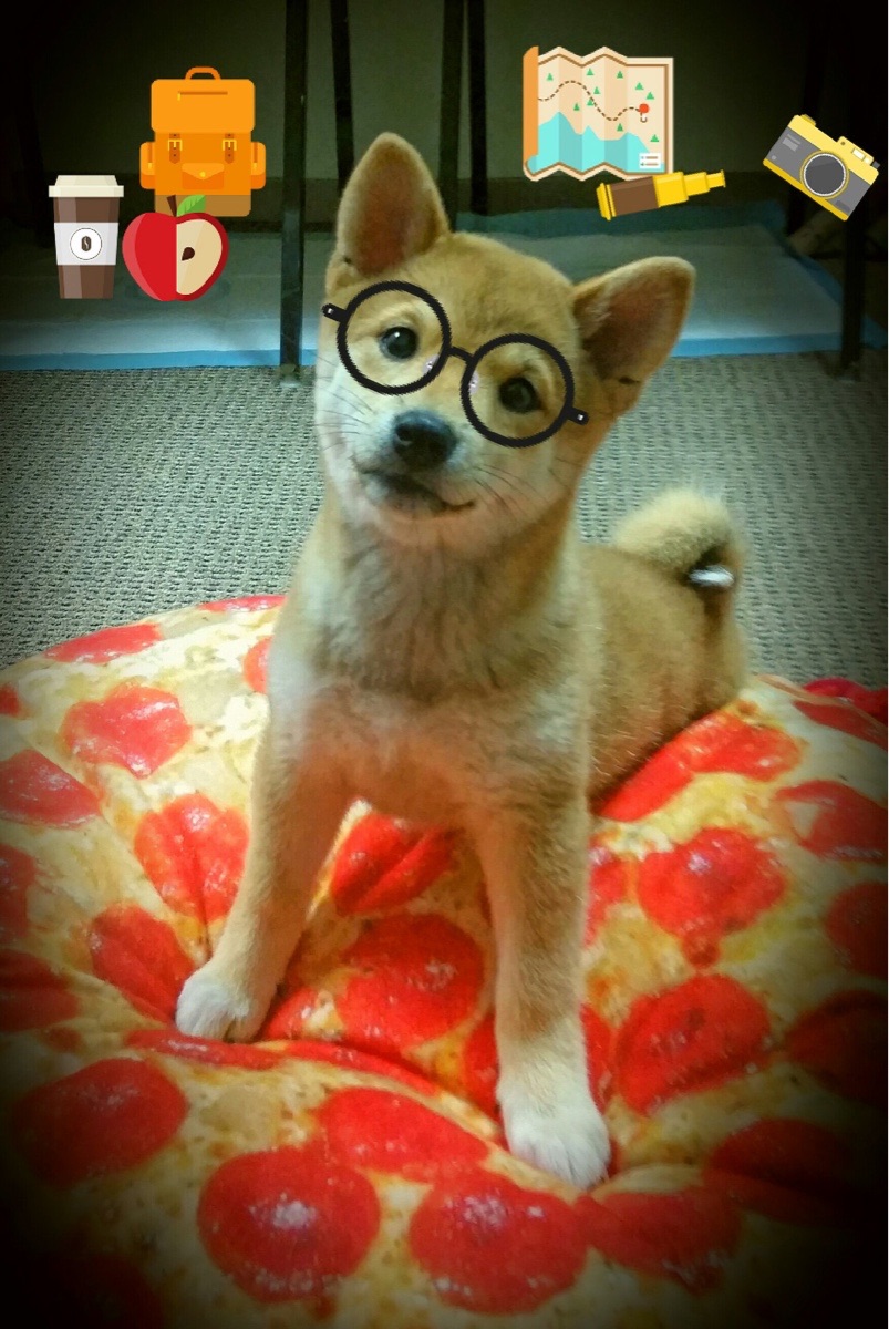 JIUYOU GAMING-西班牙小组头名晋级八强，西班牙小组第一出线