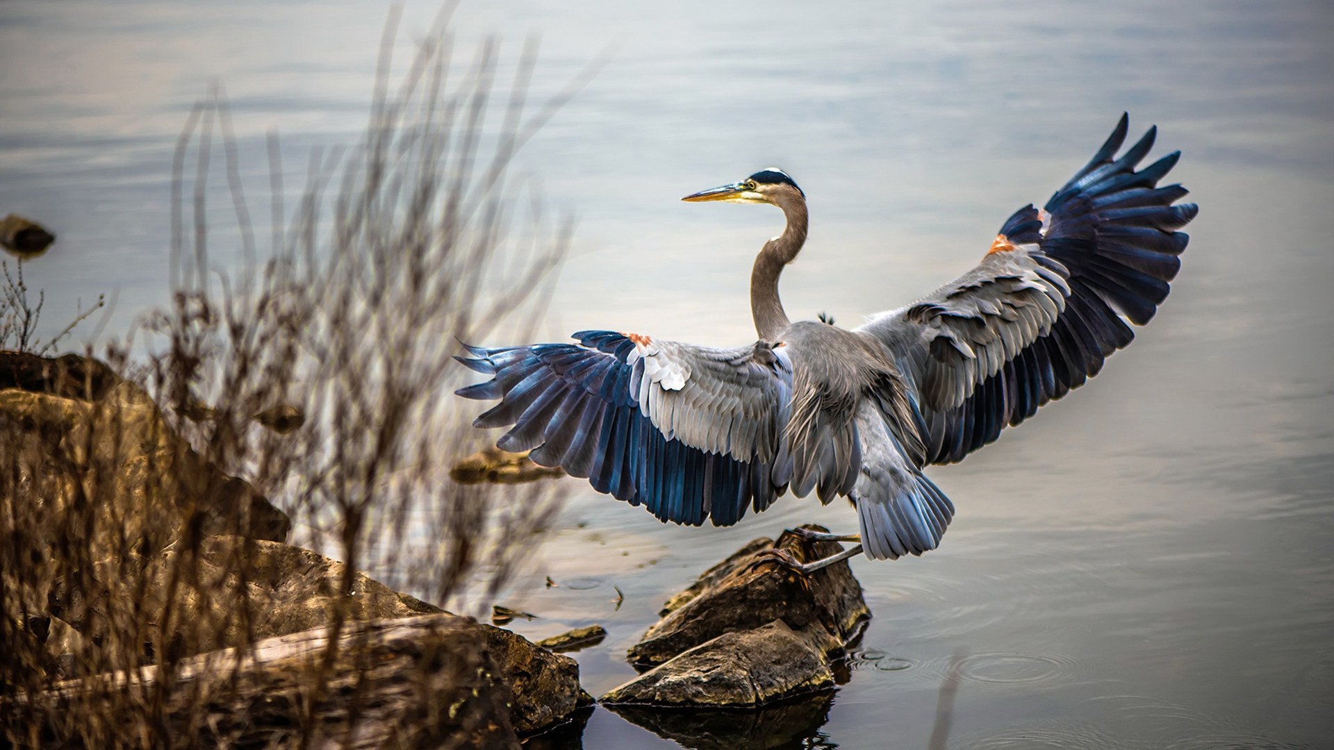 九游下载中心-西班牙篮球联赛观众热情高涨，西班牙篮球联赛冠军