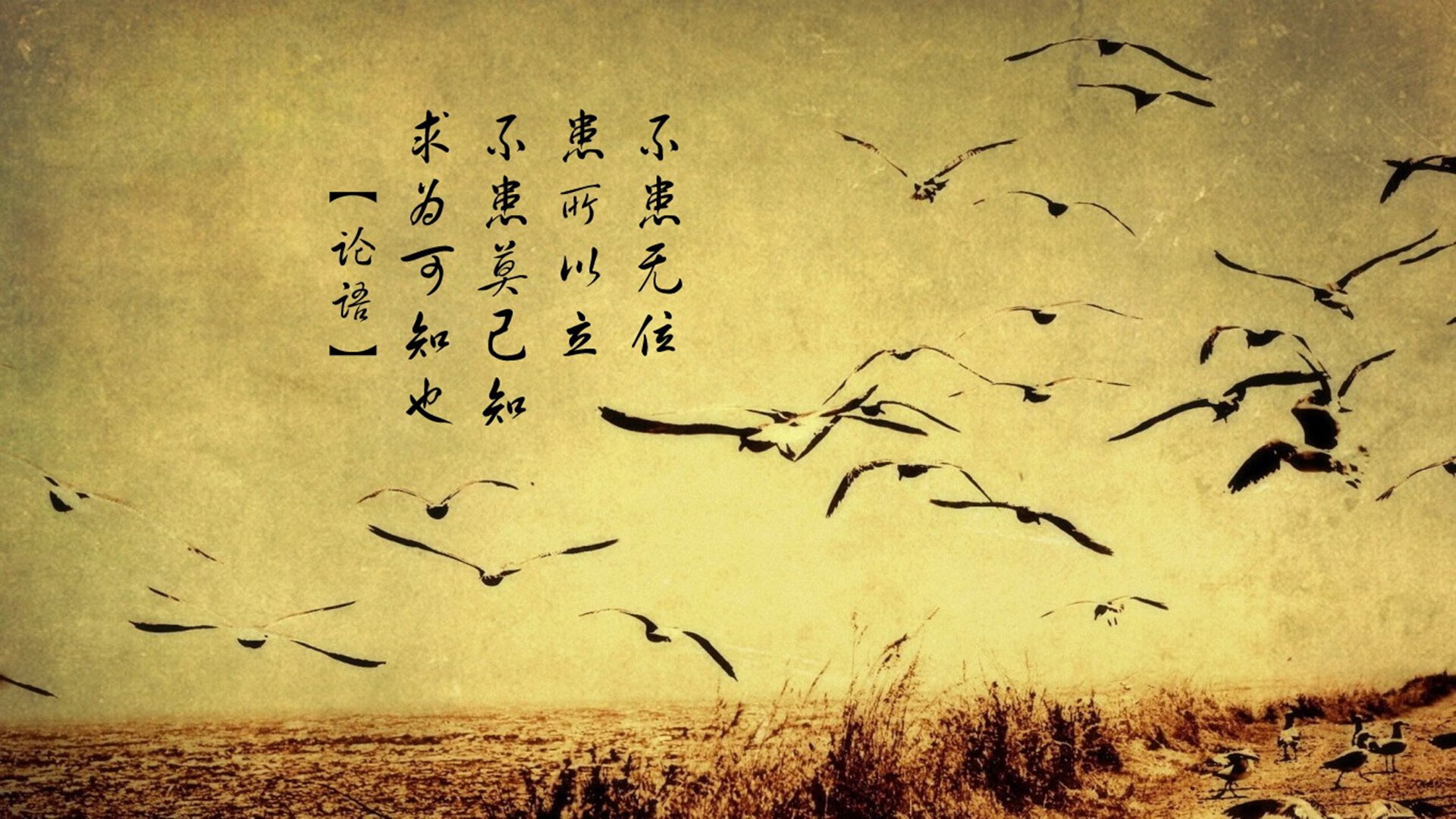 谁将笑到最后？欧洲足球冠军联赛半决赛胜者将逐鹿总决赛，欧洲杯半决赛成绩