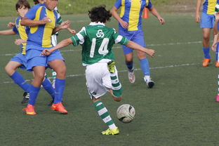 九游游戏中心官网-中国足球外援依赖度趋势分析，中国足球外援依赖度趋势分析图