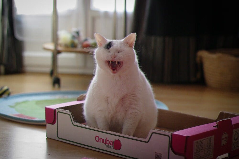 全国青少年运动舞蹈比赛展现青春风采，青少年体育舞蹈比赛