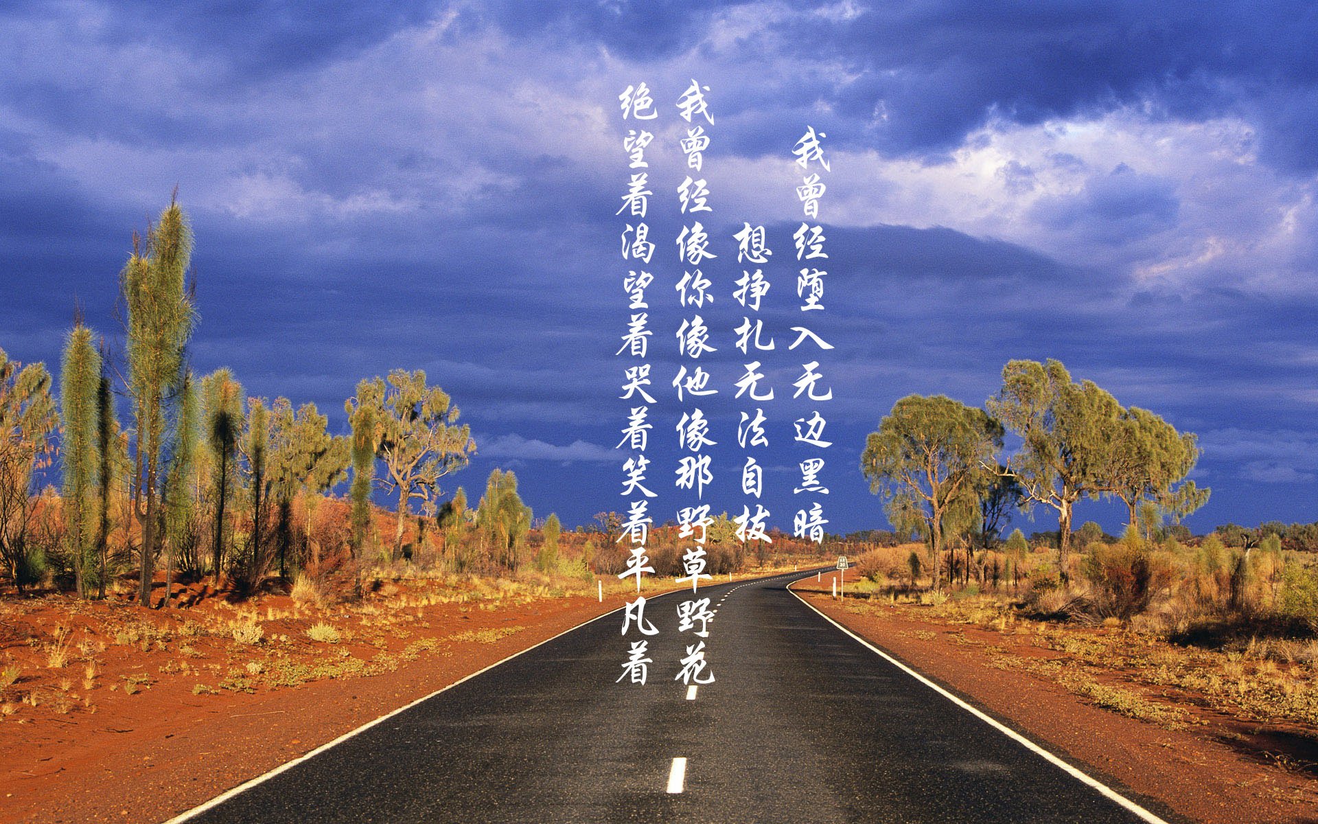 意甲青训体系引入心理韧性提升训练的实证研究,意甲青训最好的球队