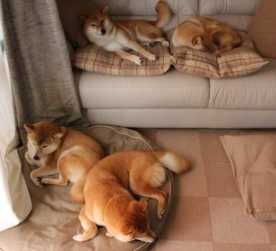 篮球运动员心理恢复训练方法探讨,篮球运动员心理素质