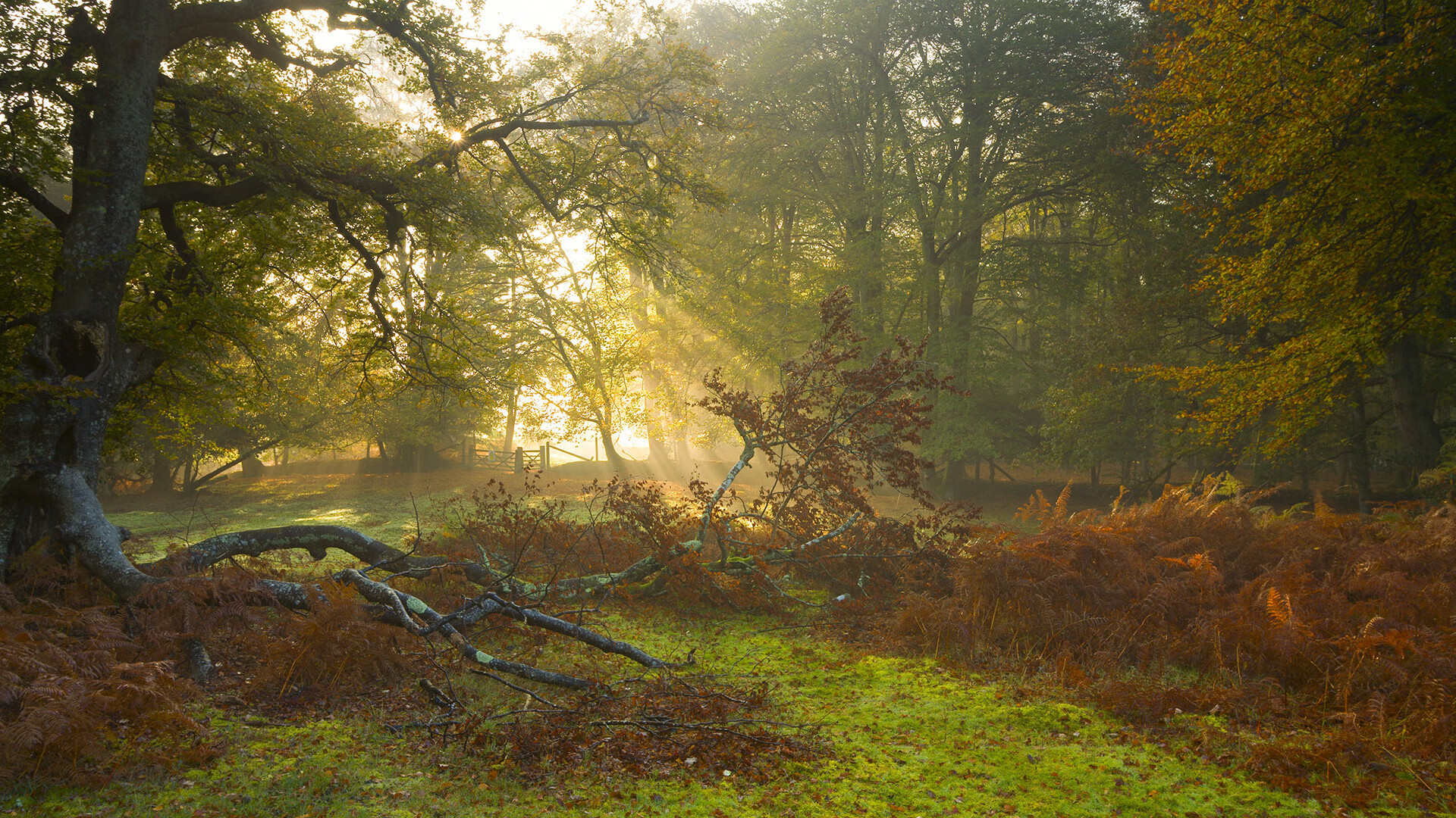 九游网页版官网-中国男篮体能训练效果显著 提高比赛耐力，中国男篮体能不够