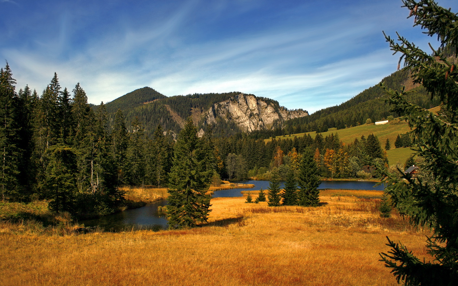 九游app官网下载-奥运历史特展在上海开幕 吸引大量观众，上海特殊奥运会
