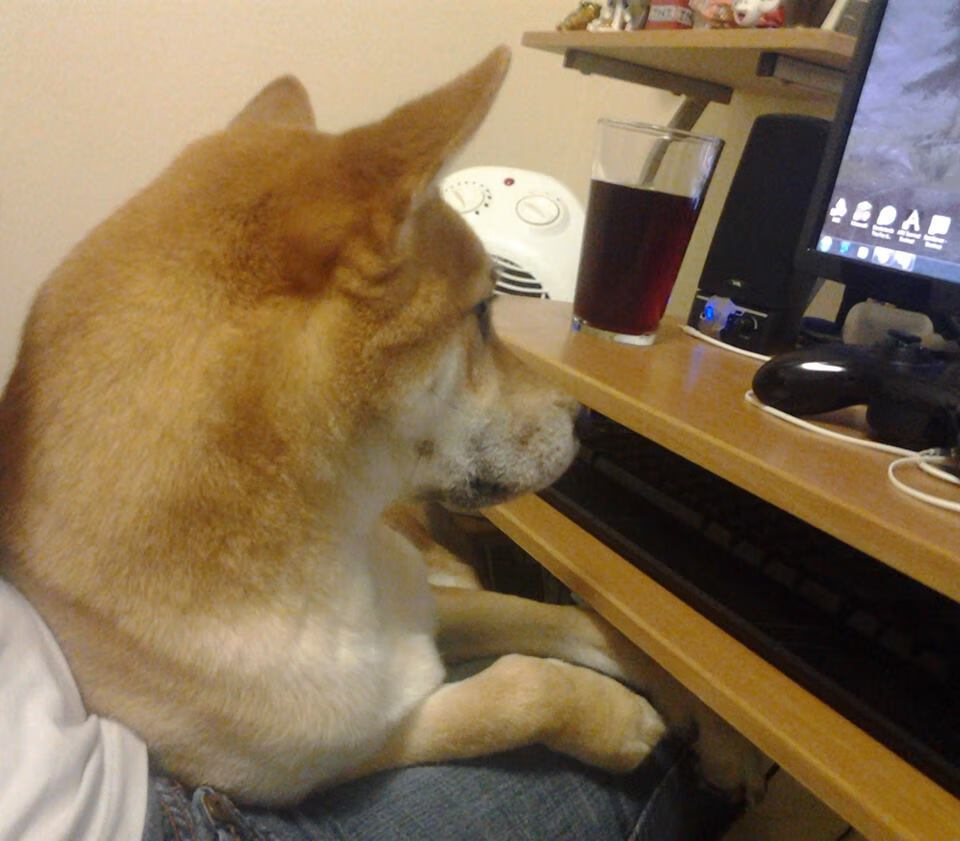 成绩背后：蛙泳转身距离的秘密，蛙泳转身慢动作示范