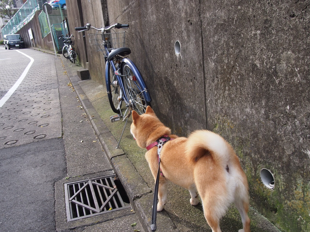 九游网页版官网入口-高校体育教研成果纳入国家课题评选体系，高校体育科研课题题目