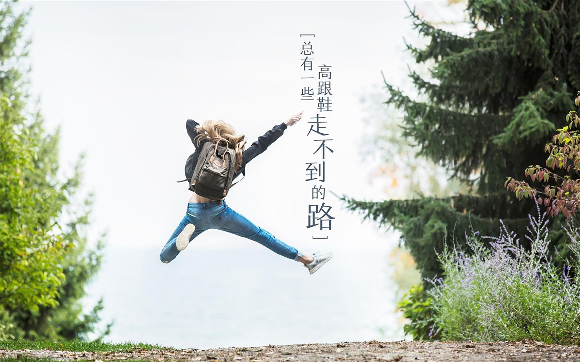 美洲杯激情时刻:英雄辈出,奇迹不断,美洲杯比赛视频录像