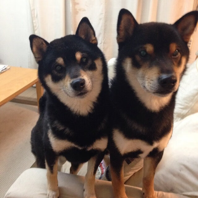 九游9游-西甲超级射手：连续进球，闪耀全场，2019至2020西甲射手