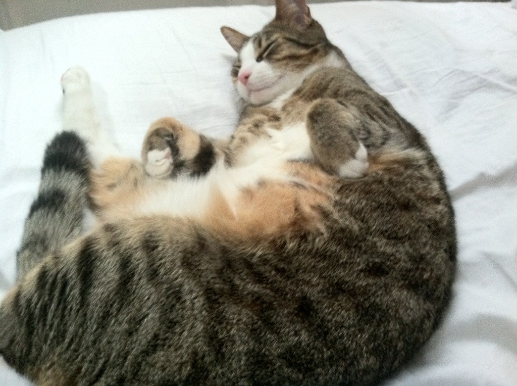 九游官网主页-西甲激情战火：连续得分点燃全场！，西甲 视频