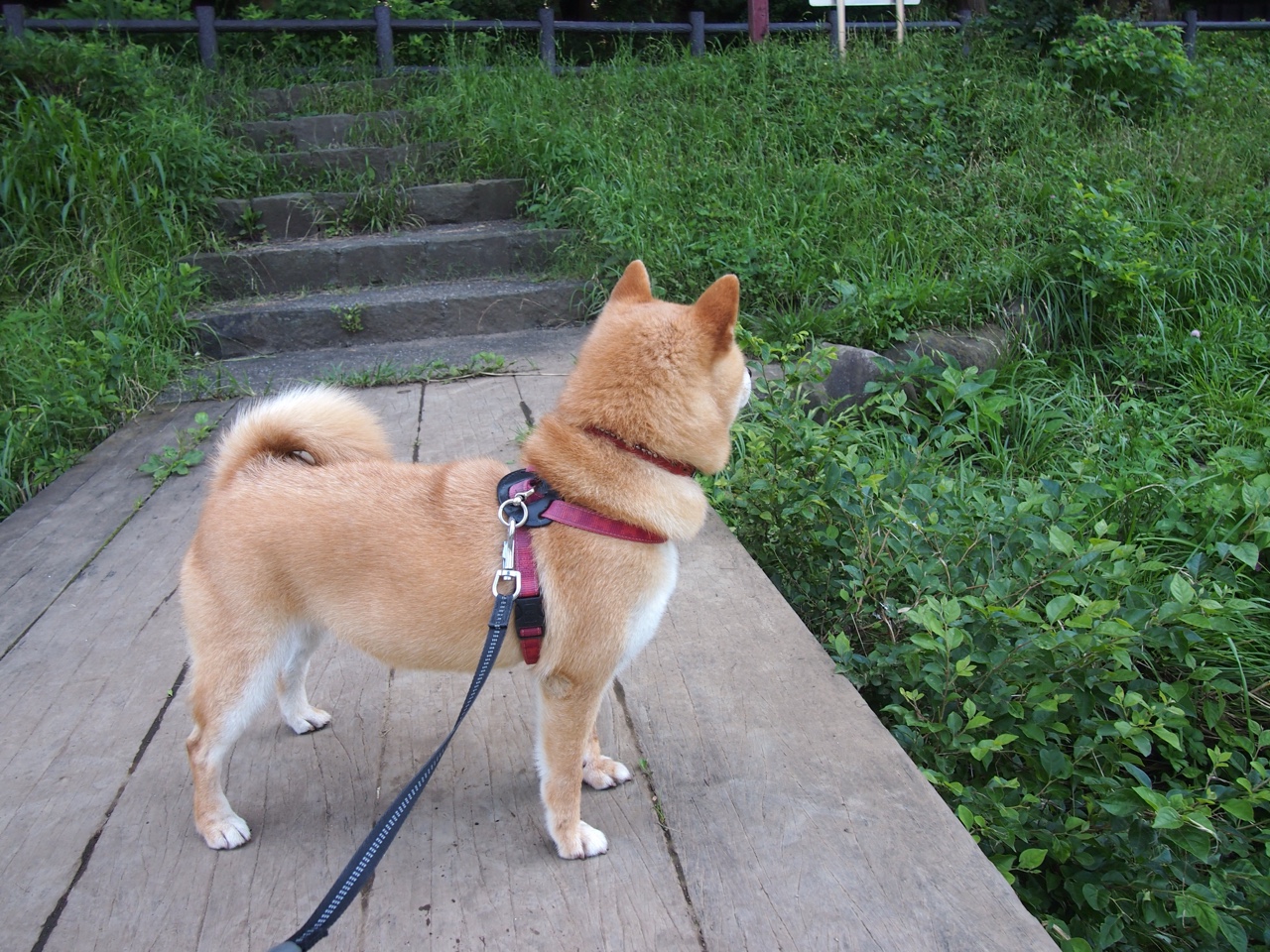 九游游戏中心官网-足球运动员签约公益项目，携手推动全民健身事业，足球运动员慈善