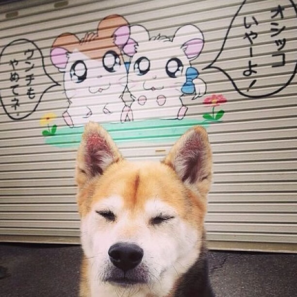 青少年足球裁判员培训体系不断完善,提升裁判执法水平,少儿足球裁判训练营